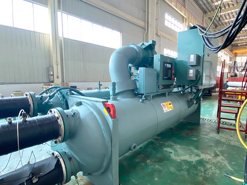 10004IMG2458 10004IMG2458